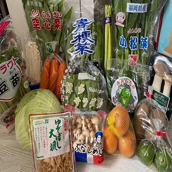 食品支援｜山口県-九州福岡朝倉支援所パック16種